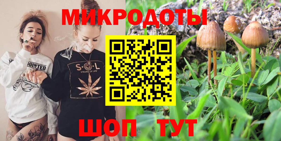 Михайловка  Галлюциногенные грибы прущие грибы  купить наркоту  Вход с VPN  Галлюциногенные грибы Magic Shrooms 